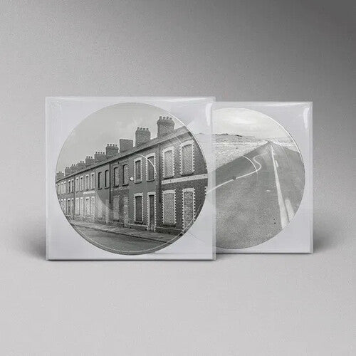 Manic Street Preachers- Critical Thinking - Limited Picture Disc