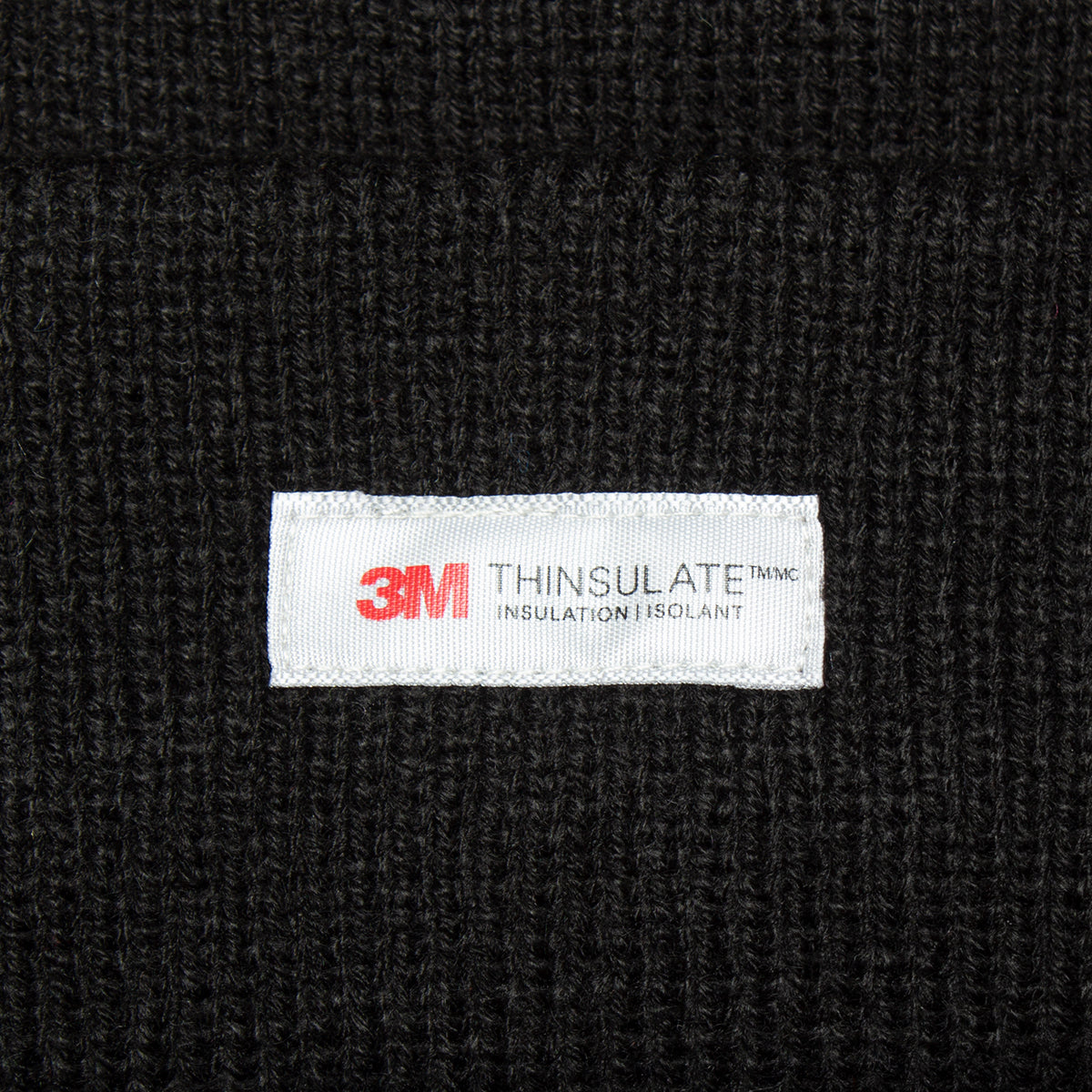 Big Basic Thinsulate Beanie