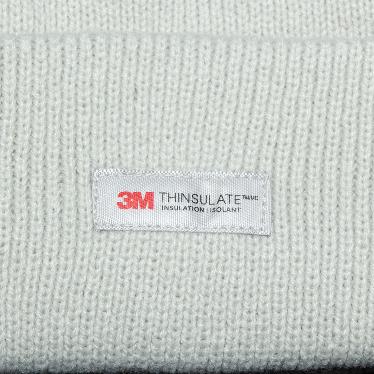 Big Basic Thinsulate Beanie