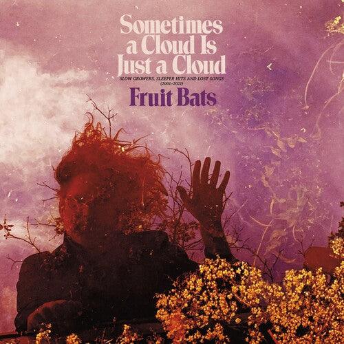 Fruit Bats- Sometimes a Cloud Is Just a Cloud: Slow Growers, Sleeper Hits and Lost Songs (2001–2021) (Pink/Violet Vinyl)