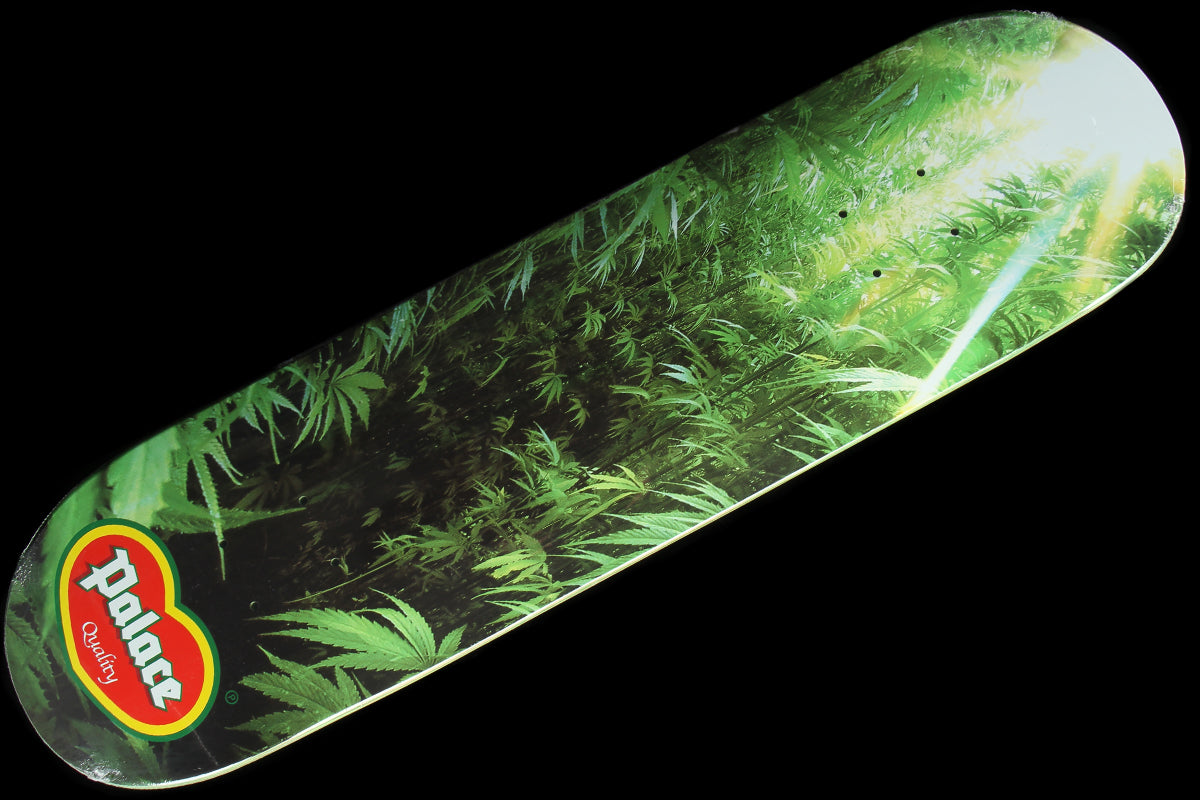 Quality Deck 8.1"
