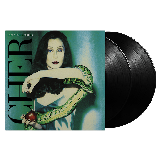 Cher- It's A Man's World