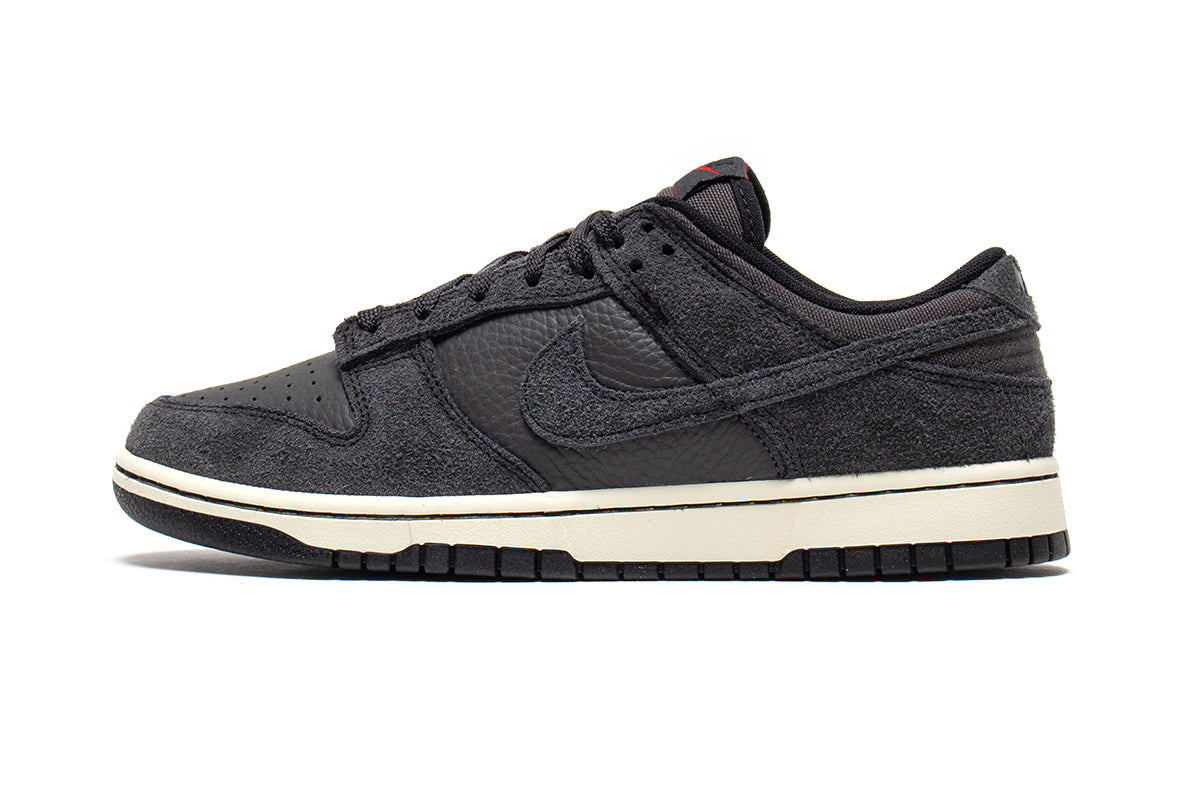 Dunk Low Pro Retro SE