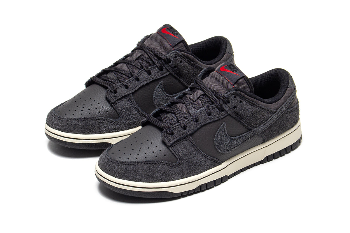 Dunk Low Pro Retro SE
