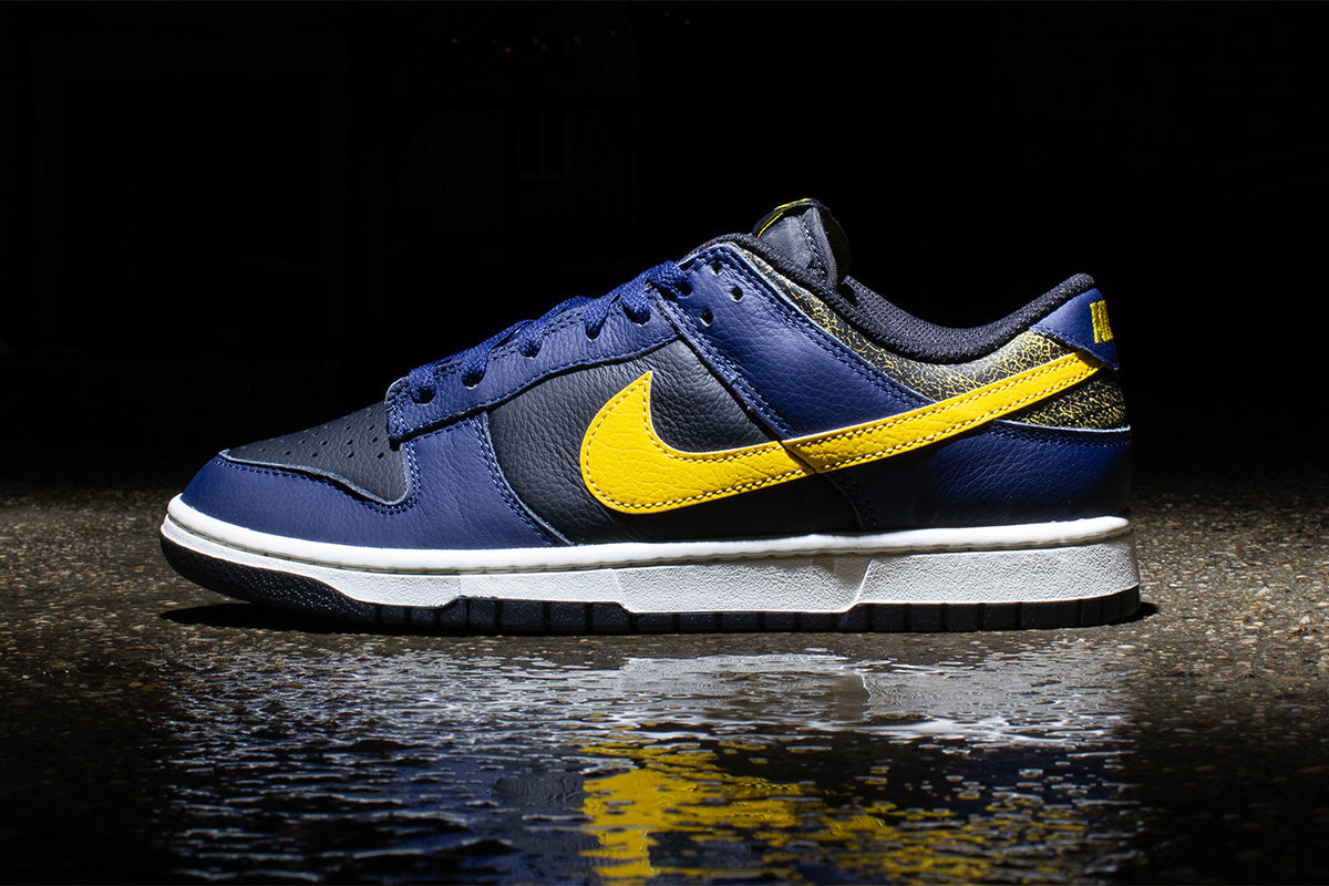 Dunk Low Retro