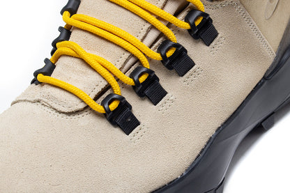 ACG Cygnal