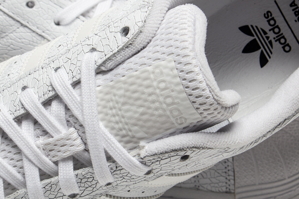 Superstar x Vitoria