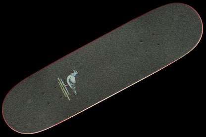 Clowns Complete Deck 8.06"