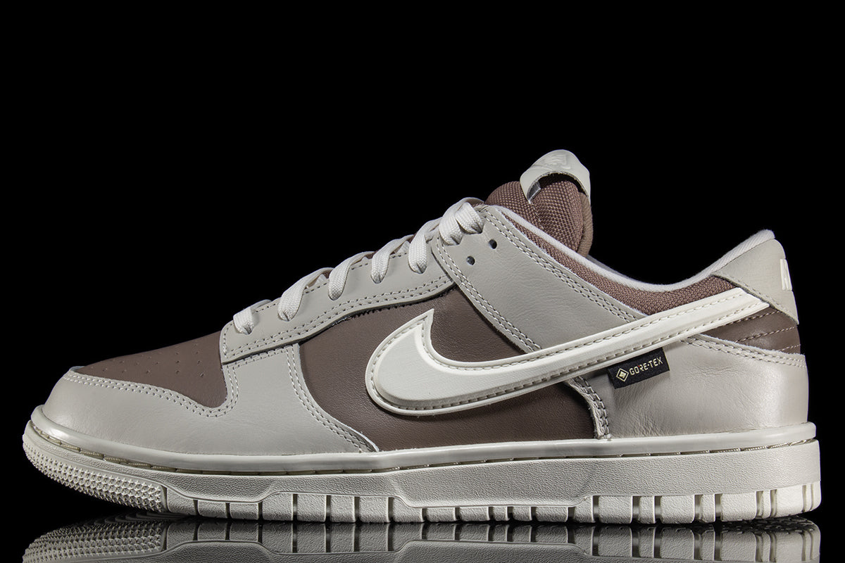 Dunk Low GTX