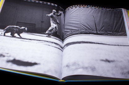 Mark Gonzales: Adventures in Street Skating
