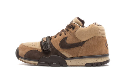 Air Trainer 1