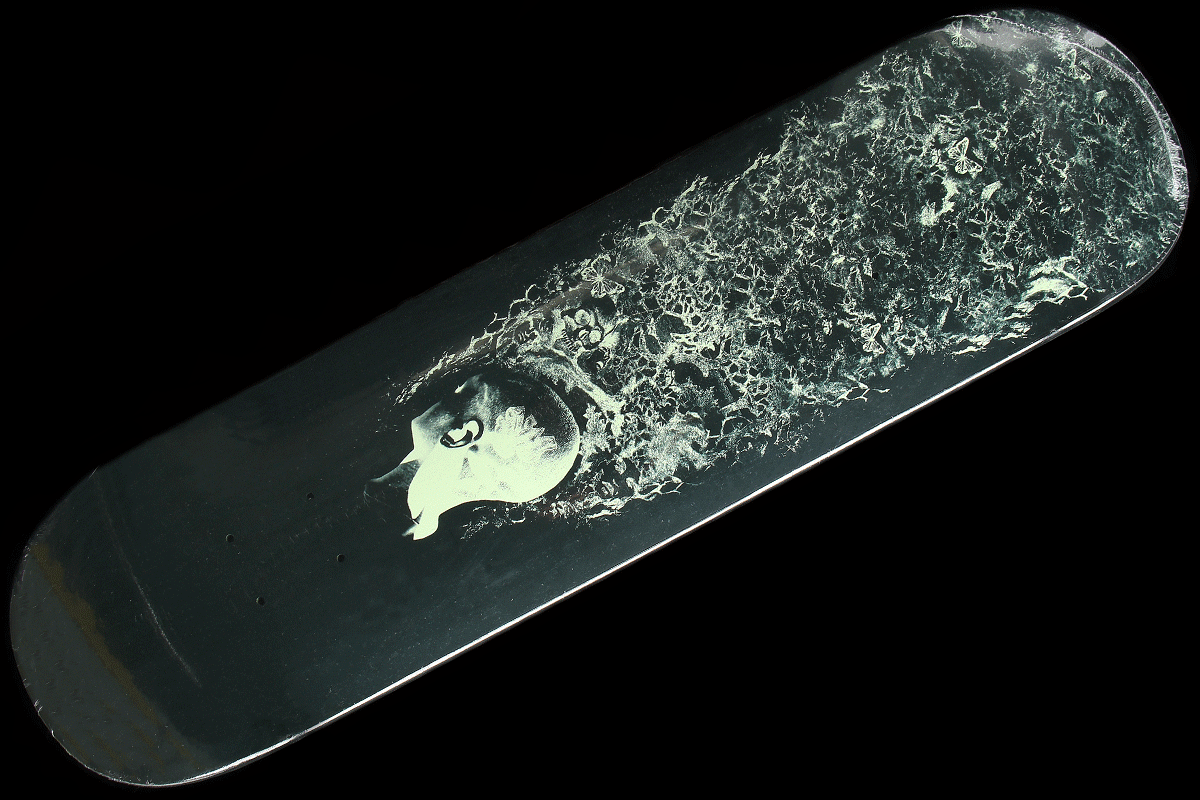 Rodriques Nest Deck 8.18"