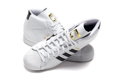 Pro Model ADV