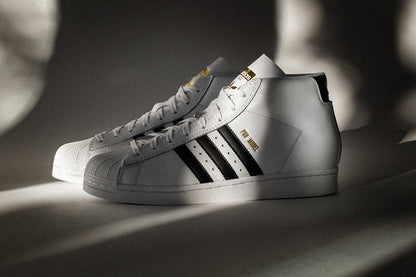 Pro Model ADV
