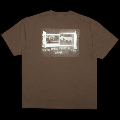 Beautiful Horses T-Shirt