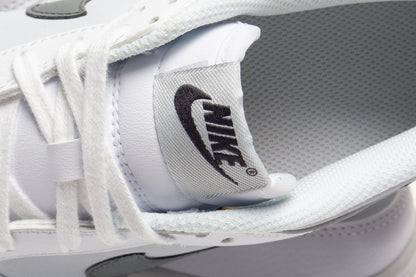 Dunk Low (GS)