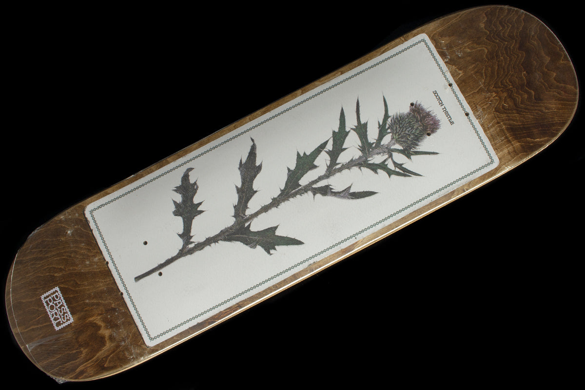 Invasive Species - Scotch Thistle Deck 8.25" & 8.5"