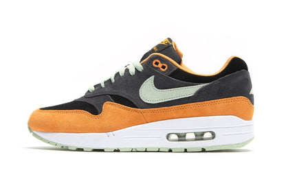 Air Max 1 Premium 'Ugly Duckling'