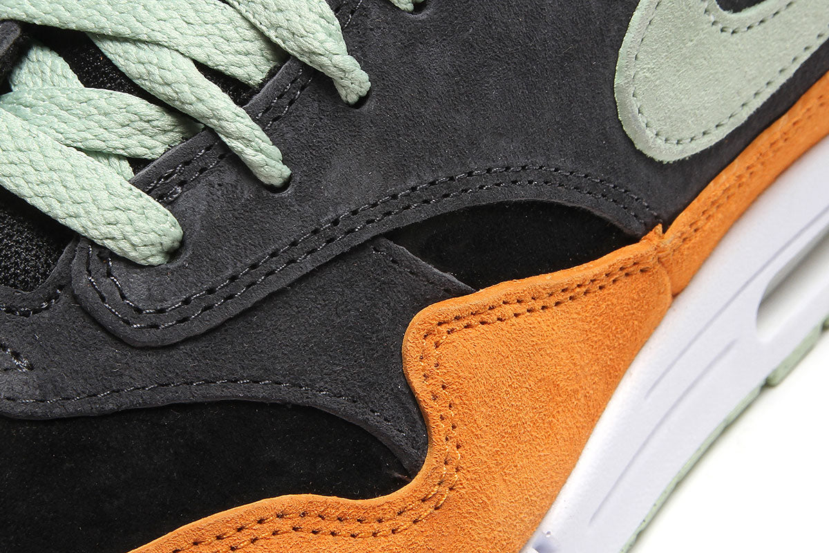 Air Max 1 Premium 'Ugly Duckling'