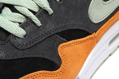 Air Max 1 Premium 'Ugly Duckling'