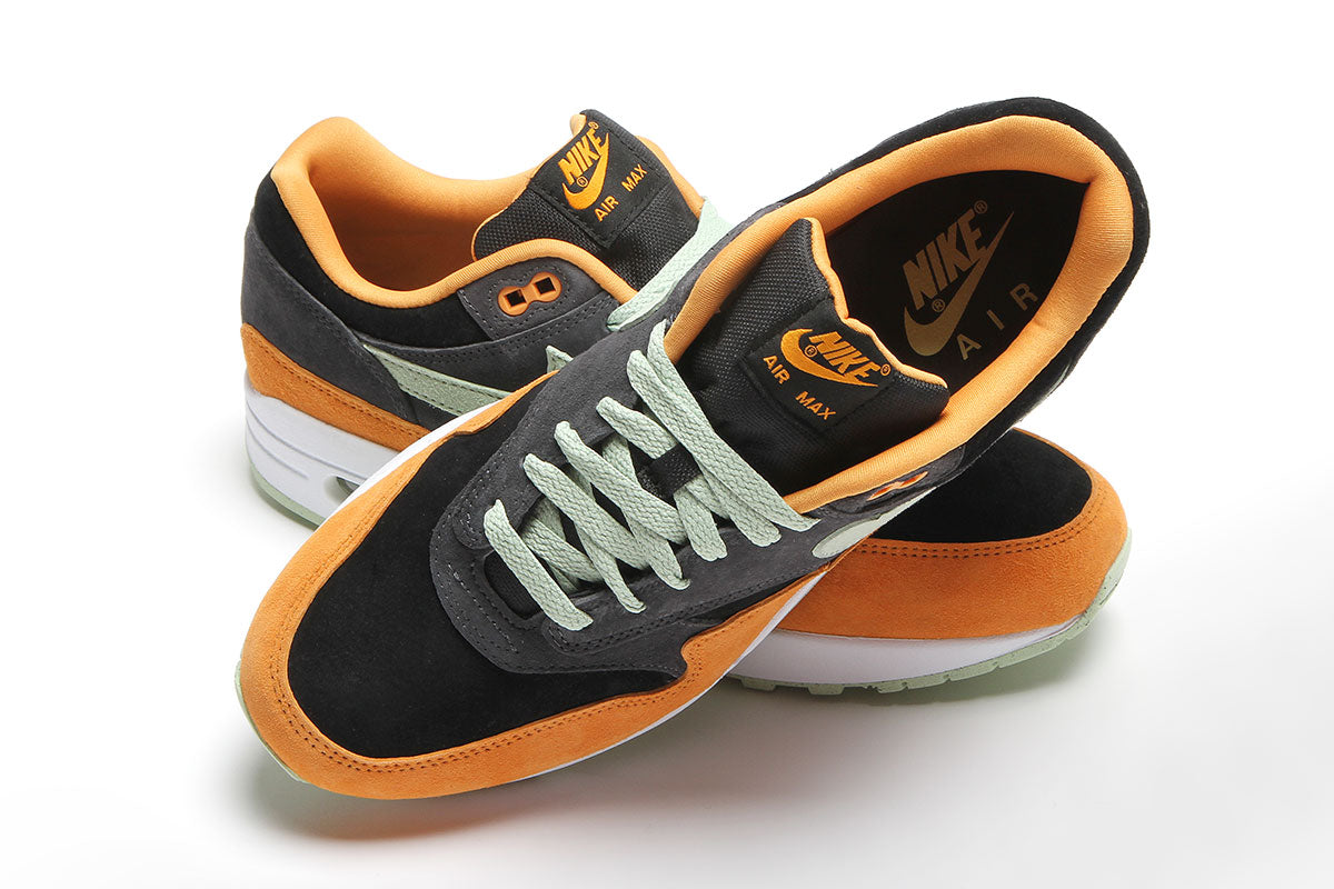 Air Max 1 Premium 'Ugly Duckling'