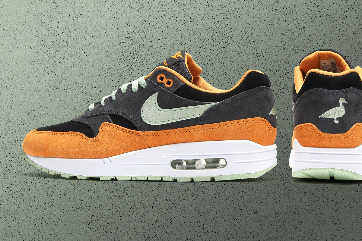 Air Max 1 Premium 'Ugly Duckling'