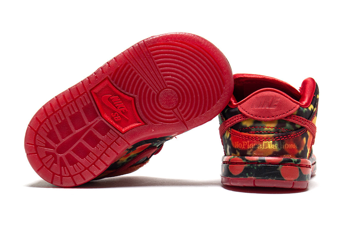 Dunk Low Pro x The Wizard Of Oz (TD)