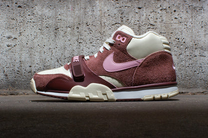 Air Trainer 1
