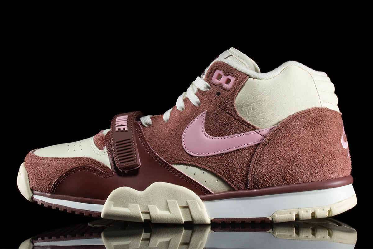 Air Trainer 1