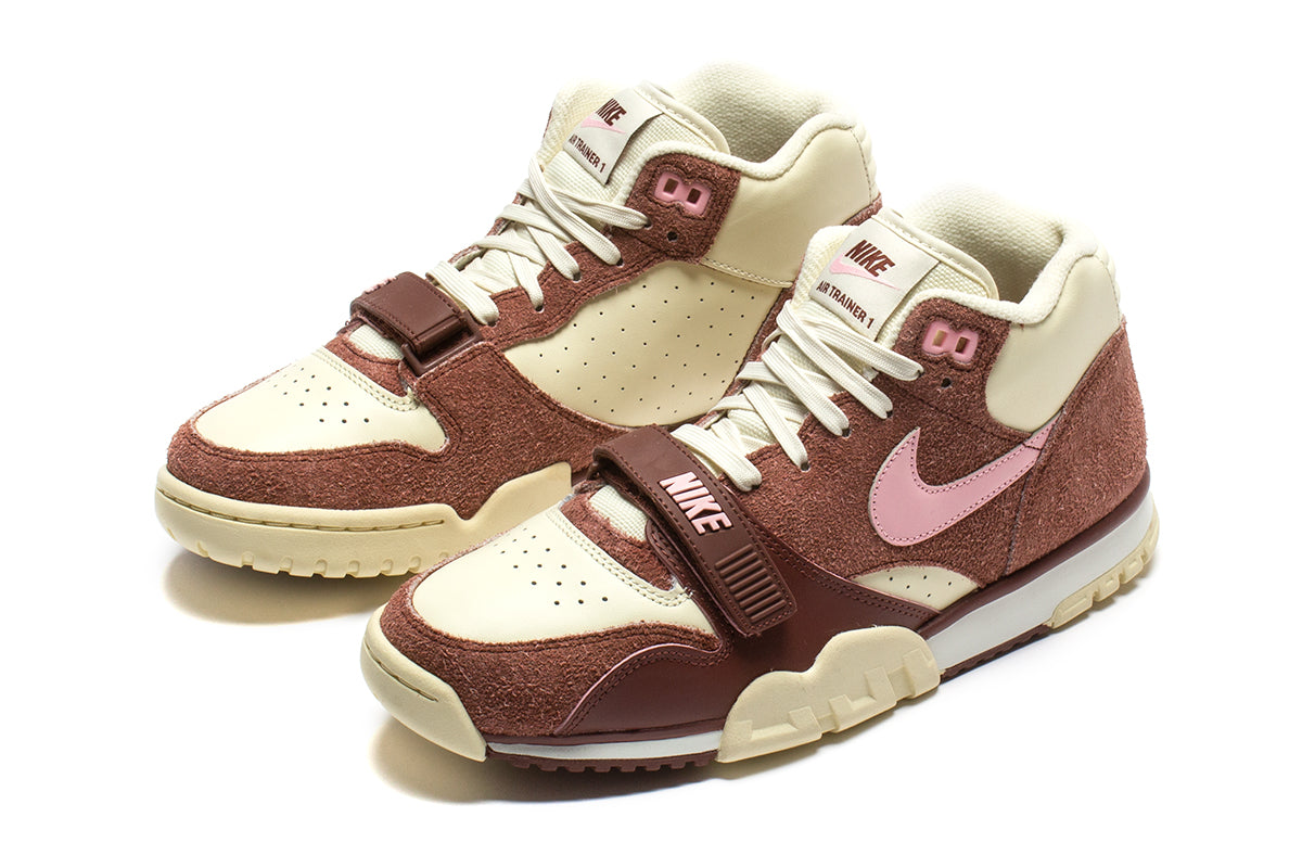 Air Trainer 1