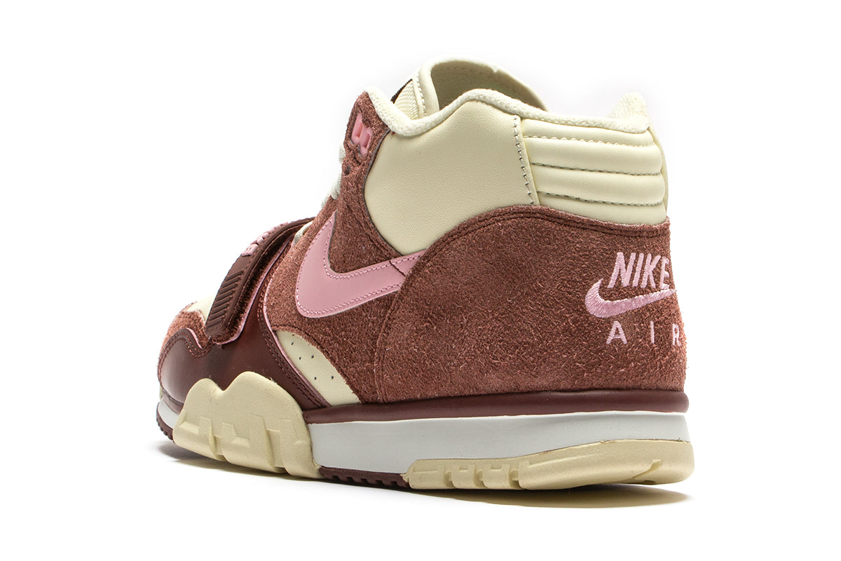 Air Trainer 1