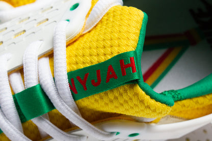 Zoom Nyjah 3 Premium