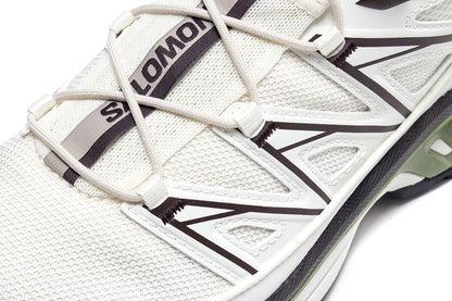 XT-6 Expanse Canvas