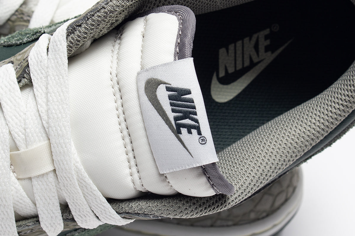 Dunk Low Retro Premium