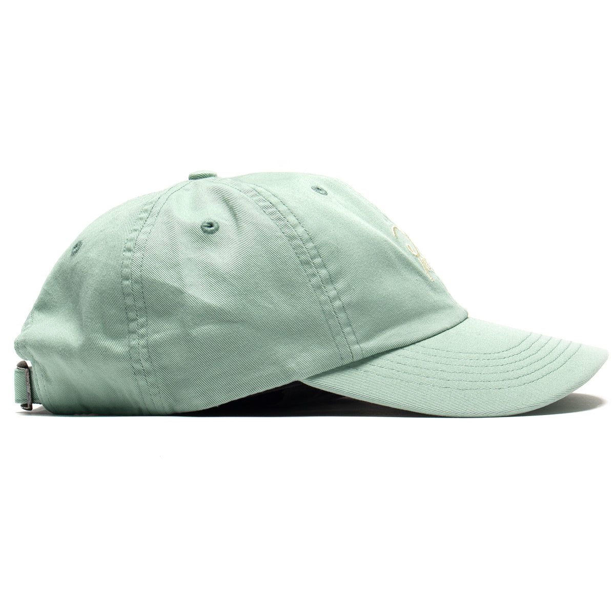 Script Logo 6 Panel Hat
