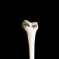 Juana Molina- Halo
