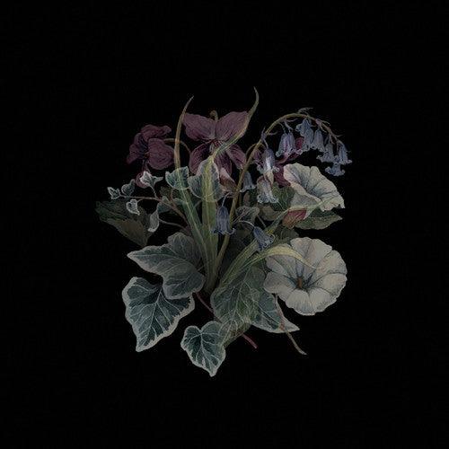 Nhor- Wildflowers