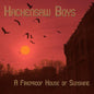 The Hackensaw Boys- A Fireproof House Of Sunshine