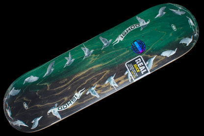 Ishod Mobius TT Green/Black Slick Deck 8.38"