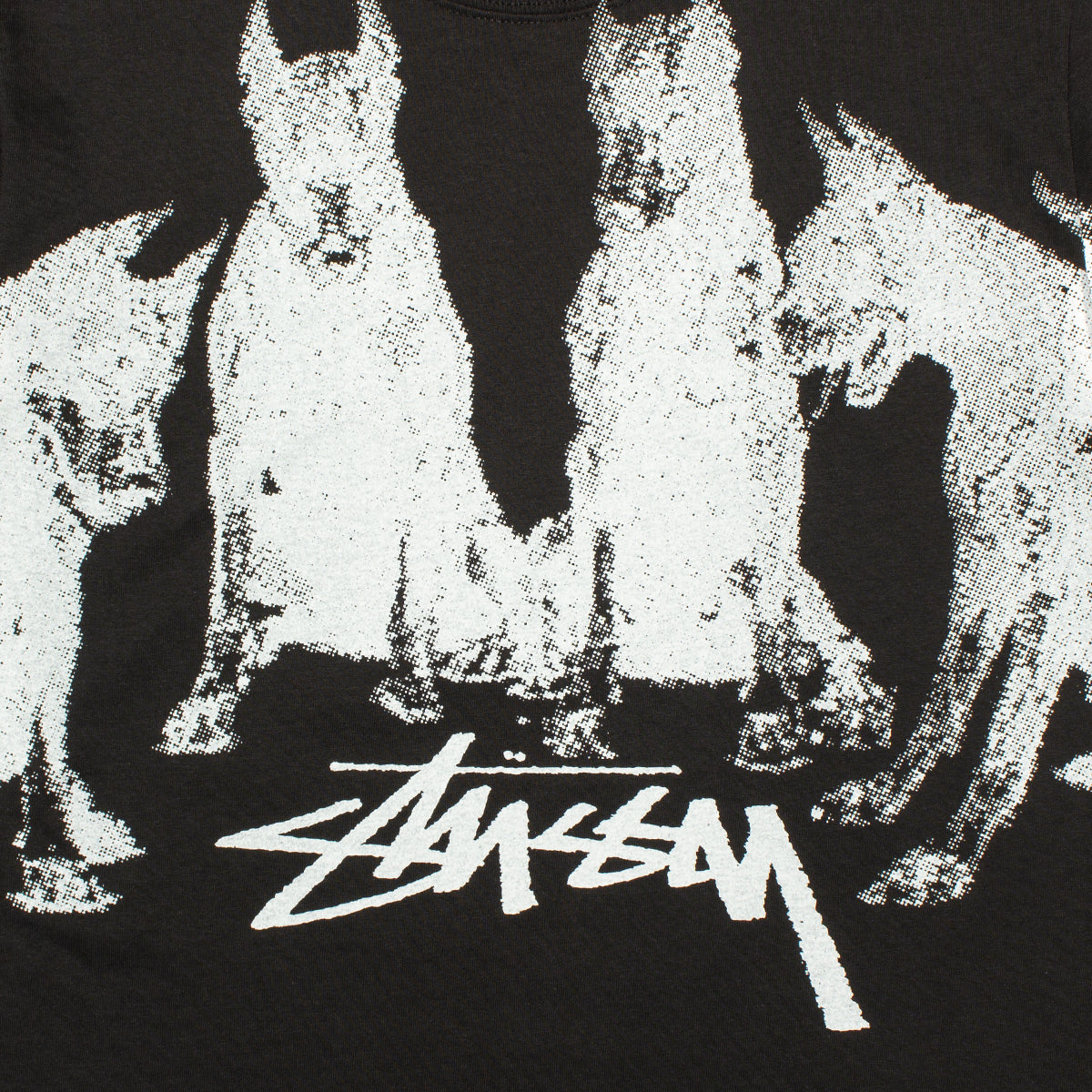 Dobermans T-Shirt