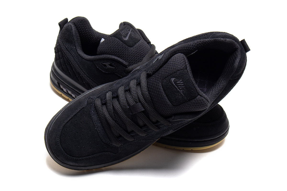 Paul Rodriguez Zoom Air Low