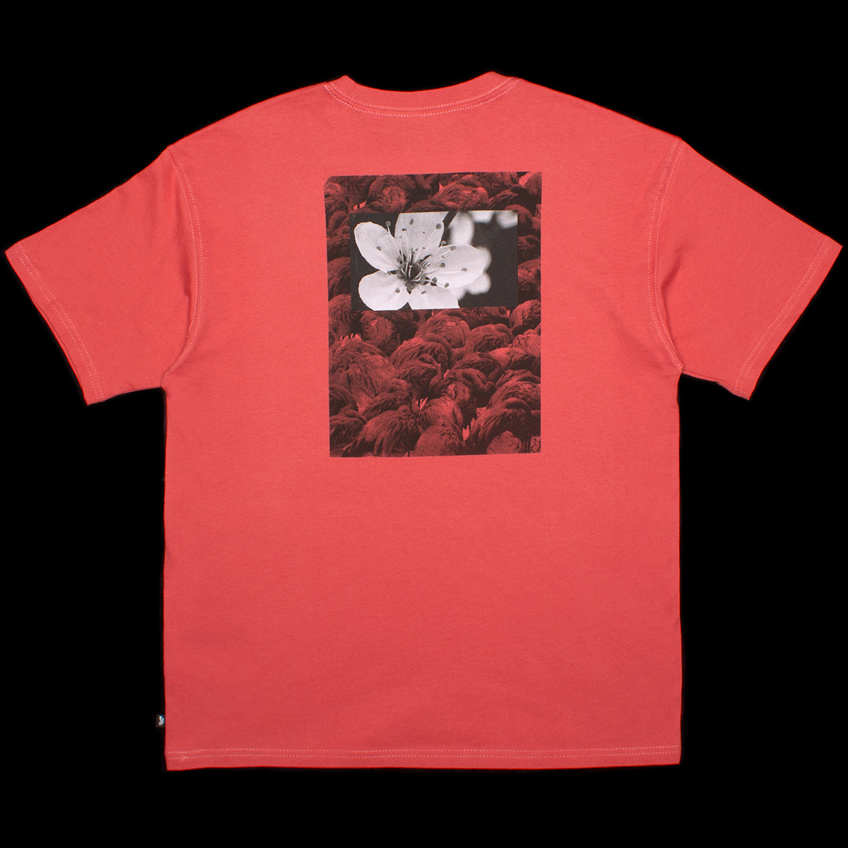 Natural Borders T-Shirt