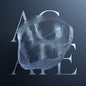Lydsten- Agate