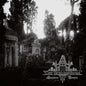 Der Trauerschwan- SANGUINARE VAMPIRIS