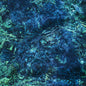 Ichiko Aoba- Luminescent Creatures