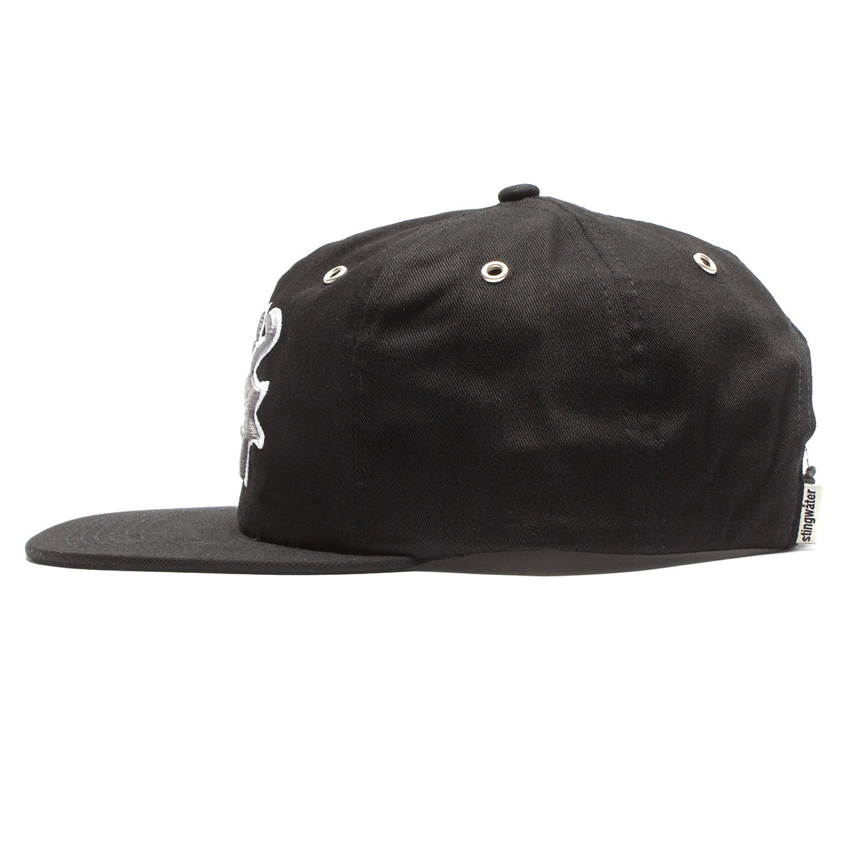 Paid 2 Sk8 Hat