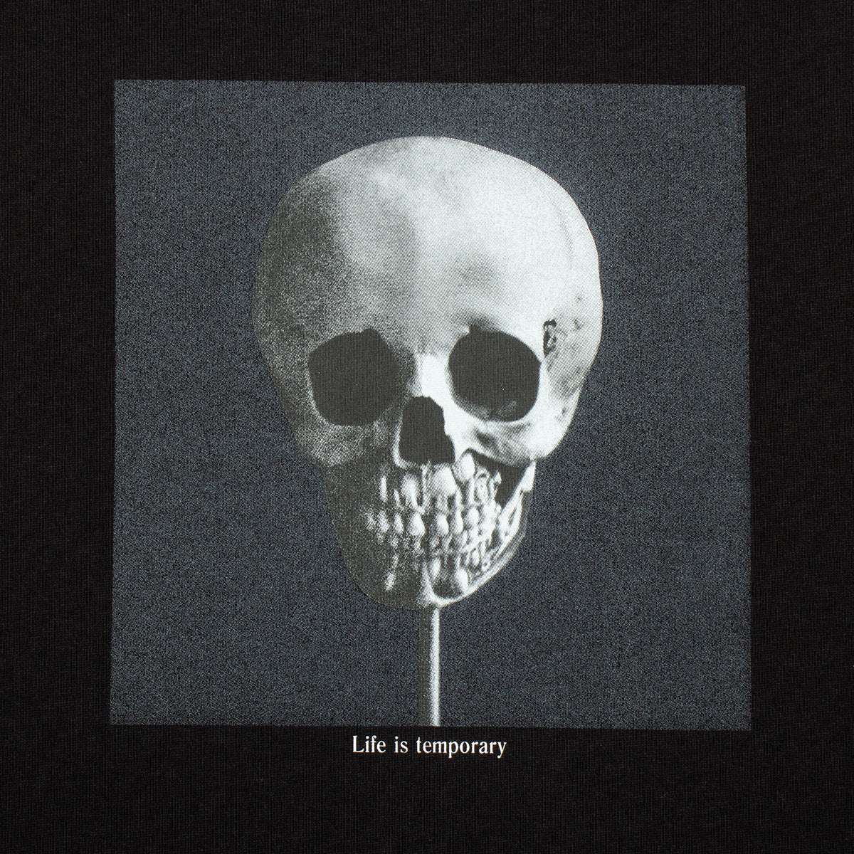 Morphology T-Shirt