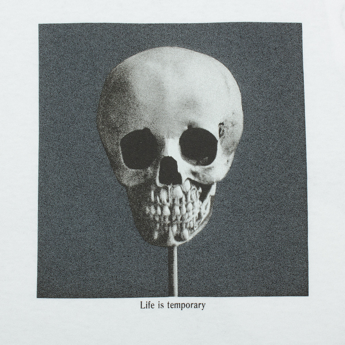 Morphology T-Shirt
