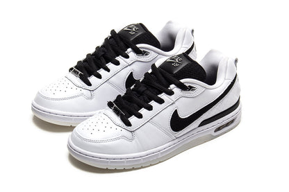 Paul Rodriguez Zoom Air Low