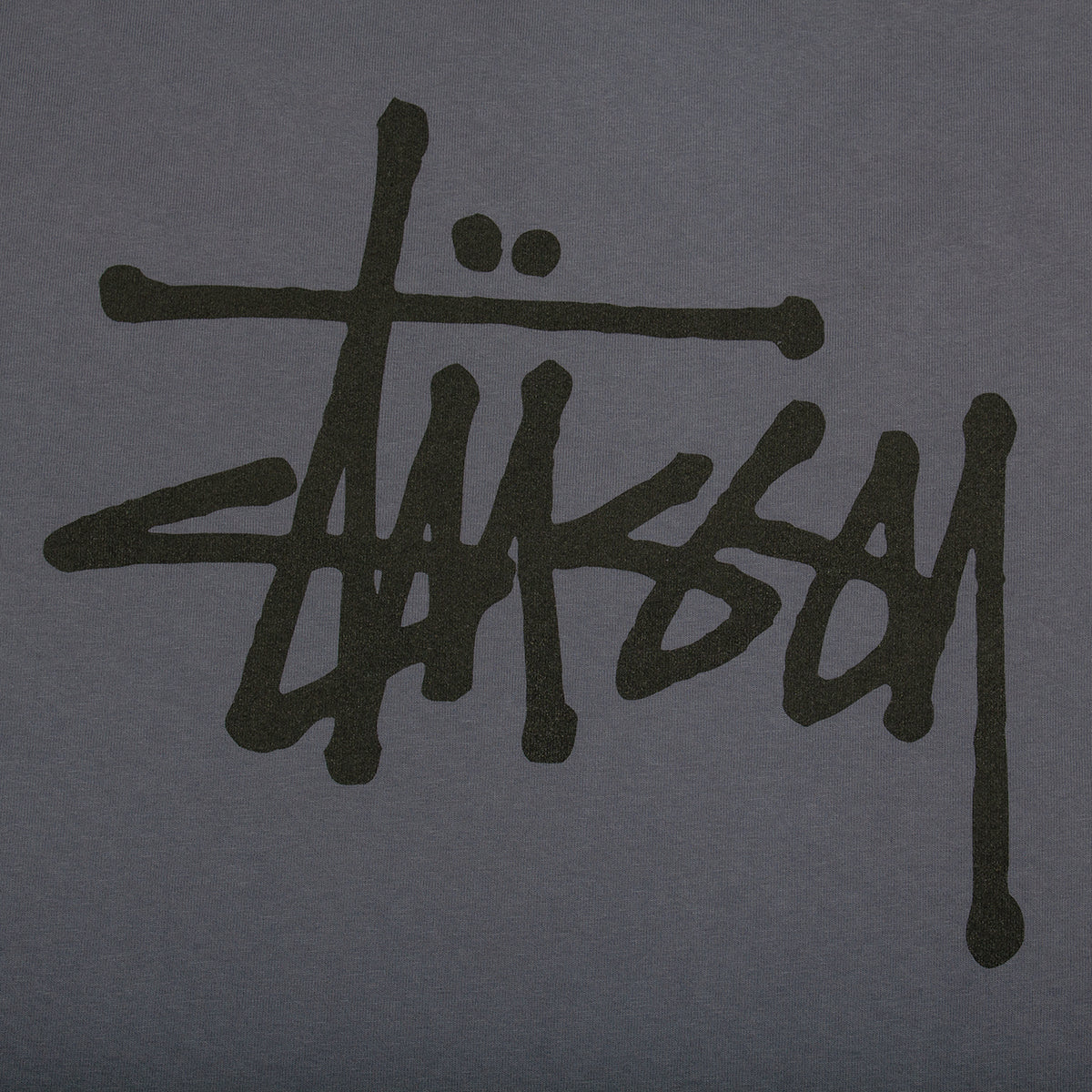 Basic Stussy Pigment Dyed T-Shirt